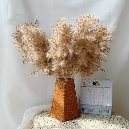 Dried Pampas Grass(15 Different Styles)