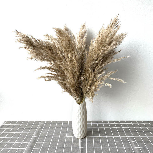 Dried Pampas Grass(15 Different Styles)