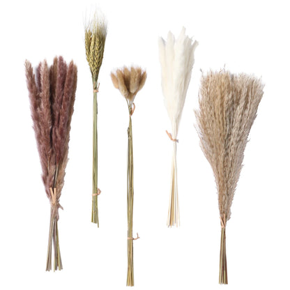 Natural Dried Reeds and Pampas Grass