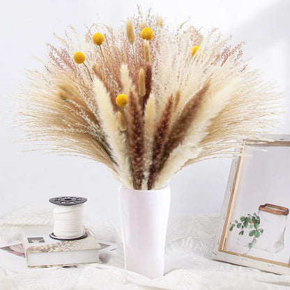 Natural Dried Reeds and Pampas Grass