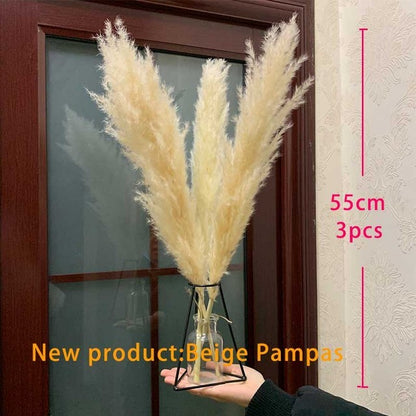 Dried Pampas Grass(15 Different Styles)