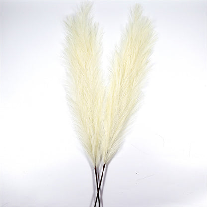 Long 110 Cm Pampas Natural Simulation Reed Grass Pampas